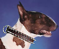 Bull Leather Spiked Dog Collar - 2 Rows of spikes-Dog Supplies