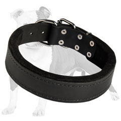 Dog-friendly training collar
