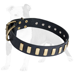 Studded Leather Dog Collar with Plates