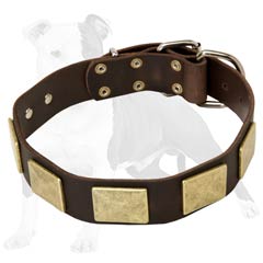 Leather collar with nickel plated details