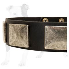 Durable leather dog collar with decorations