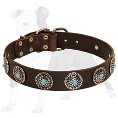 Easy training with fashionable canine collar