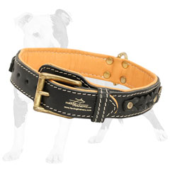 Exclusively braided leather dog collar