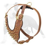 Handmade Leather Dog Harness with Brass Spikes [H9B##1092 Brass Spiked  Harness] : Custom dog harnesses for Pulling, Training, Tracking, Walking