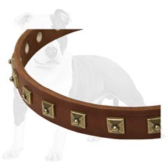 Leather Canine Collar of Reliable Quality