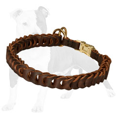 Choke Dog Collar with Quick Release Buckle