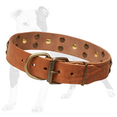 Leather dog collar with buckle and D-ring