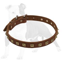 Extra Thin Leather Collar for Comfortable Dog Walking