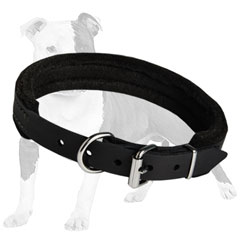 Terrific dog collar for good training of your dog