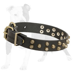 Leather dog collar with hand set studs