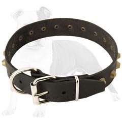Leather Canine Collar with Brass Pyramids