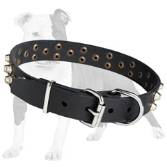 Easy Adjustable Leather Collar for Dog Exercising