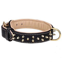 Comfortable Spiked Leather Dog Collar 