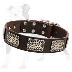 Designer leather dog collar decorated with vintage nickel plates