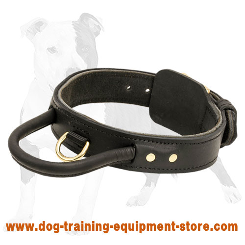 the dog collar store