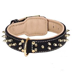 Spiked Leather Dog Collar