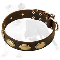 Designer Leather Dog Collar with Large Oval Plates