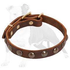 Lightweight Leather Dog Collar for Puppies