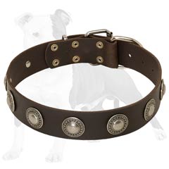 Fashion Leather Dog Collar of High Quality