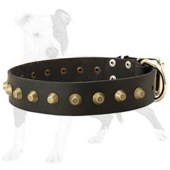 Adjustable Leather Collar for Walking