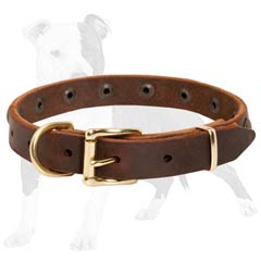 Leather Dog Collar for Small Dog Breeds