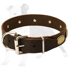 Stylish Dog Collar with Gorgeous Ovals