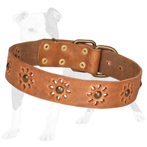 Tan leather dog collar adorned with flowers