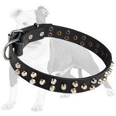 Fashion Canine Collar for Walking and Training