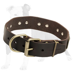 Leather dog collar with nickel plated buckle and D-ring