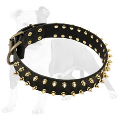 Leather dog collar with brass fittings