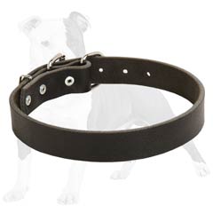 Multi-functional dog collar