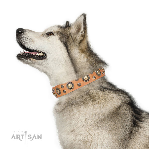 Comfortable wearing decorated dog collar of fine quality material