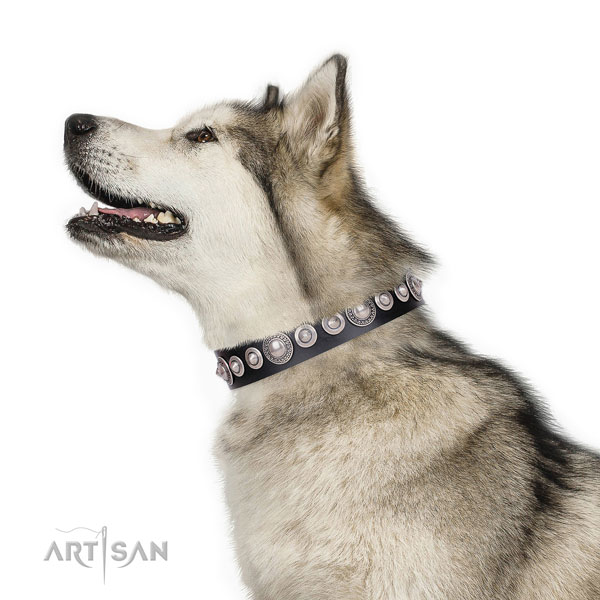 Significant adorned natural leather dog collar for easy wearing
