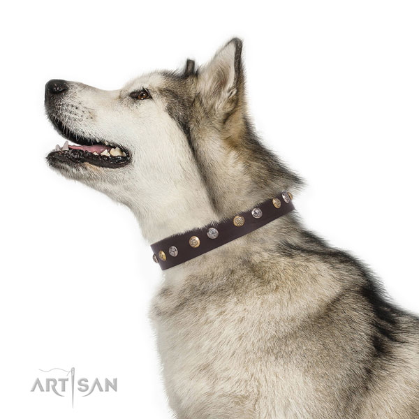 Leather dog collar with corrosion proof buckle and D-ring for daily walking