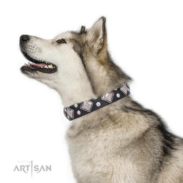 Comfortable wearing adorned dog collar made of high quality natural leather