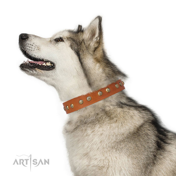 Significant decorations on comfortable wearing genuine leather dog collar