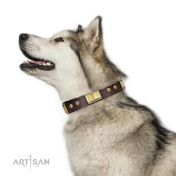 Daily use dog collar of natural leather with designer adornments