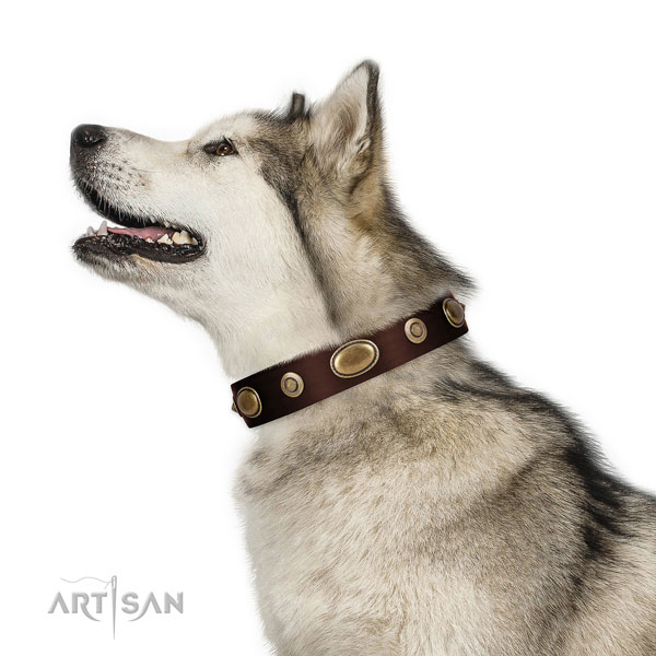 Basic training dog collar of natural leather with awesome decorations