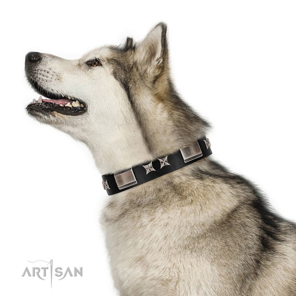 Easy wearing quality natural leather dog collar with studs