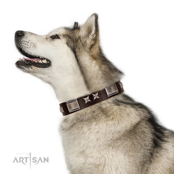 Designer collar of natural leather for your impressive doggie