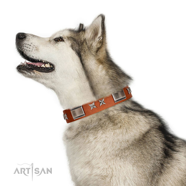 Comfortable wearing gentle to touch natural leather dog collar with adornments