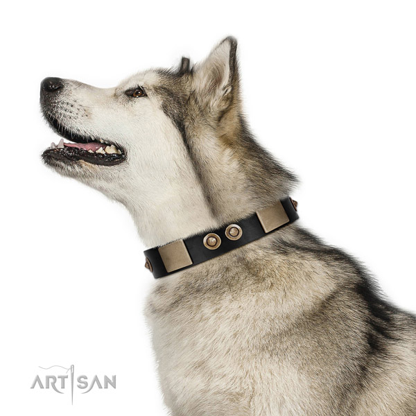 Durable fittings on genuine leather dog collar for walking