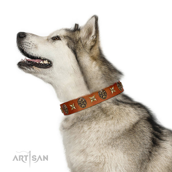 Stunning leather dog collar with decorations