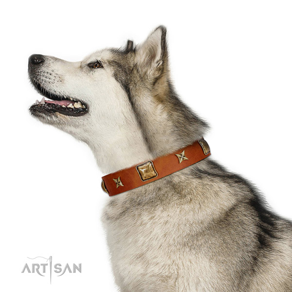 Handcrafted full grain natural leather dog collar with adornments
