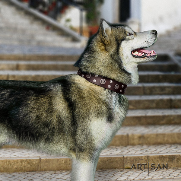 Malamute awesome embellished full grain natural leather dog collar for easy wearing
