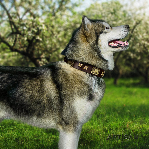 Malamute unusual decorated natural leather dog collar for handy use