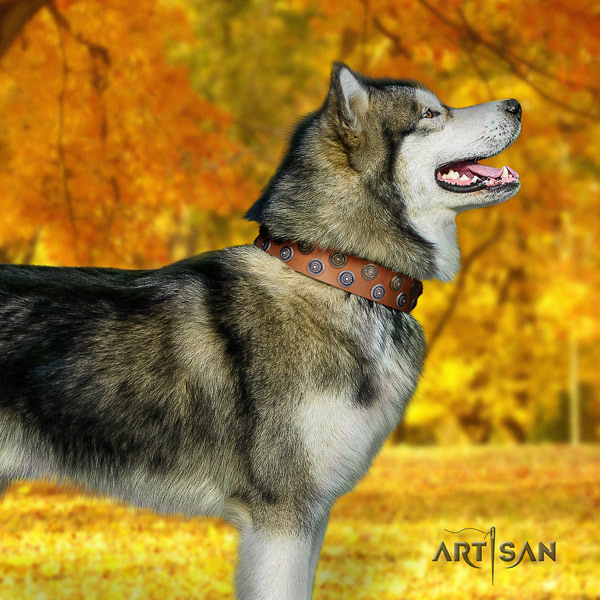 Malamute amazing decorated full grain genuine leather dog collar for comfortable wearing