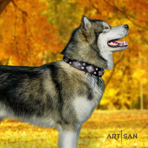 Malamute unusual decorated genuine leather dog collar for daily use