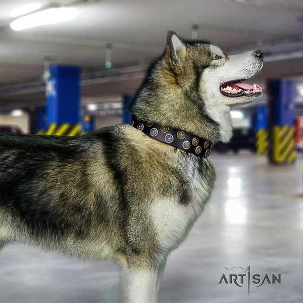 Malamute designer adorned genuine leather dog collar for everyday walking