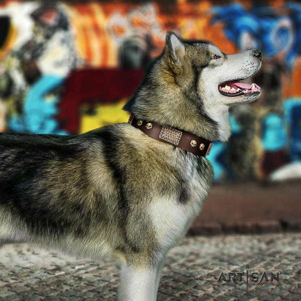 Malamute trendy adorned full grain leather dog collar for easy wearing